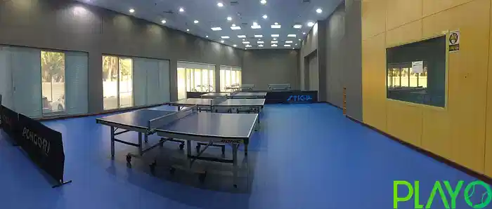 NASS Table tennis image