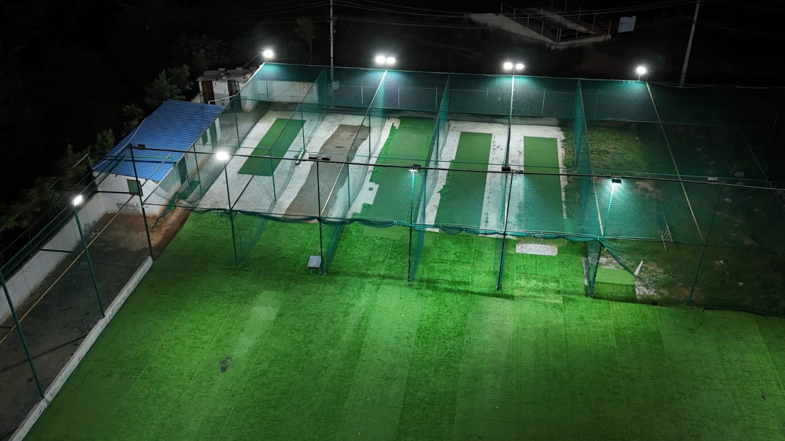 Turf photo 7