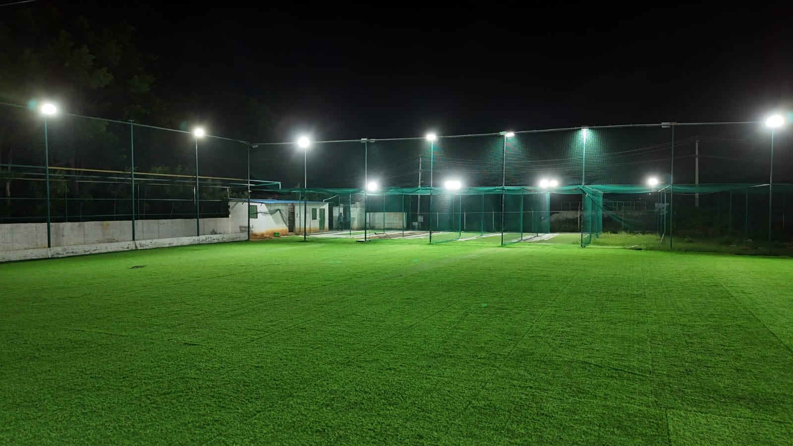 Turf photo 8
