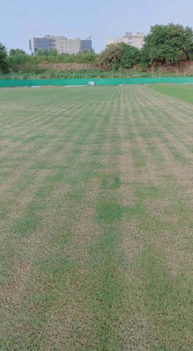 Newlands Cricket Ground