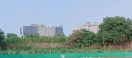 Newlands Cricket Ground