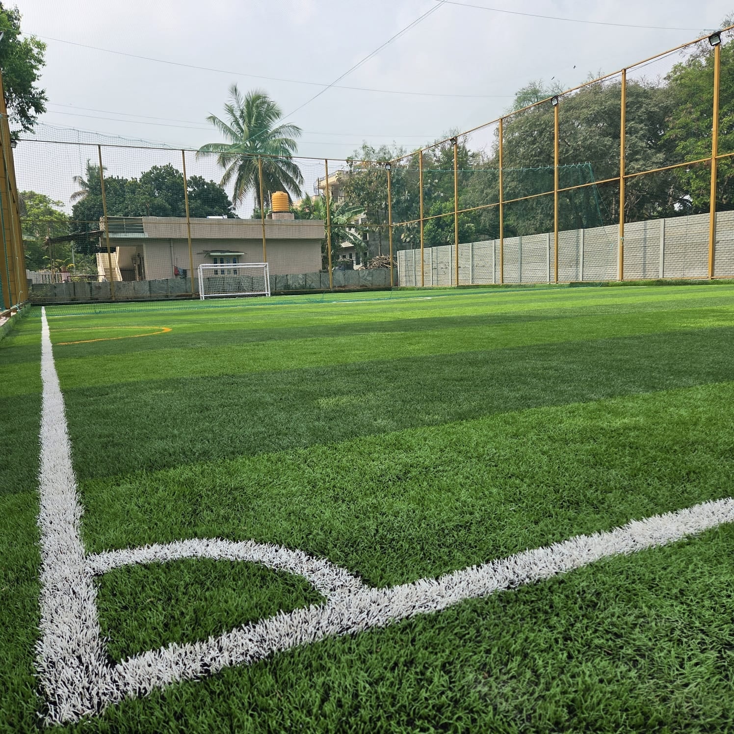 Turf photo 6