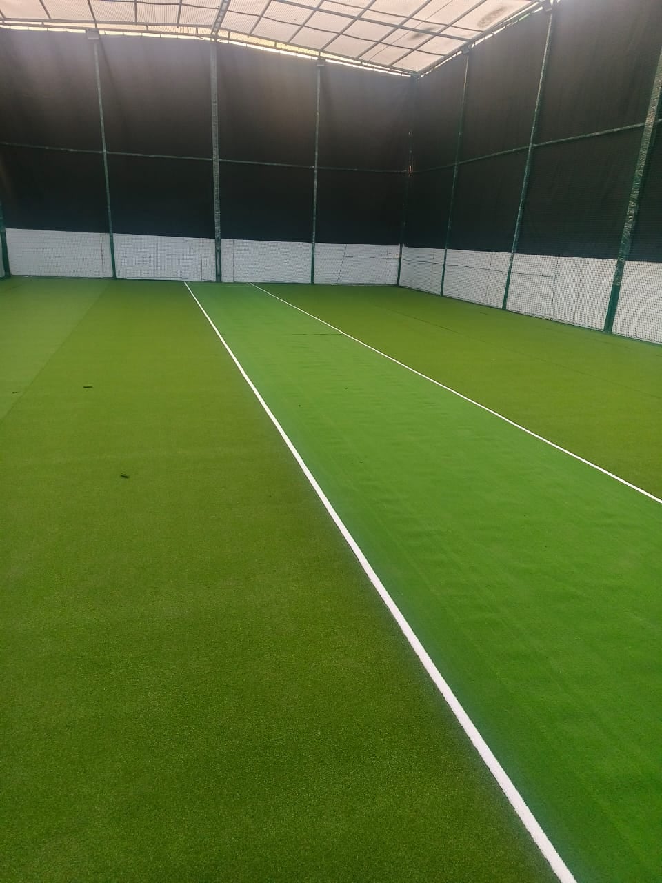 Turf photo 9