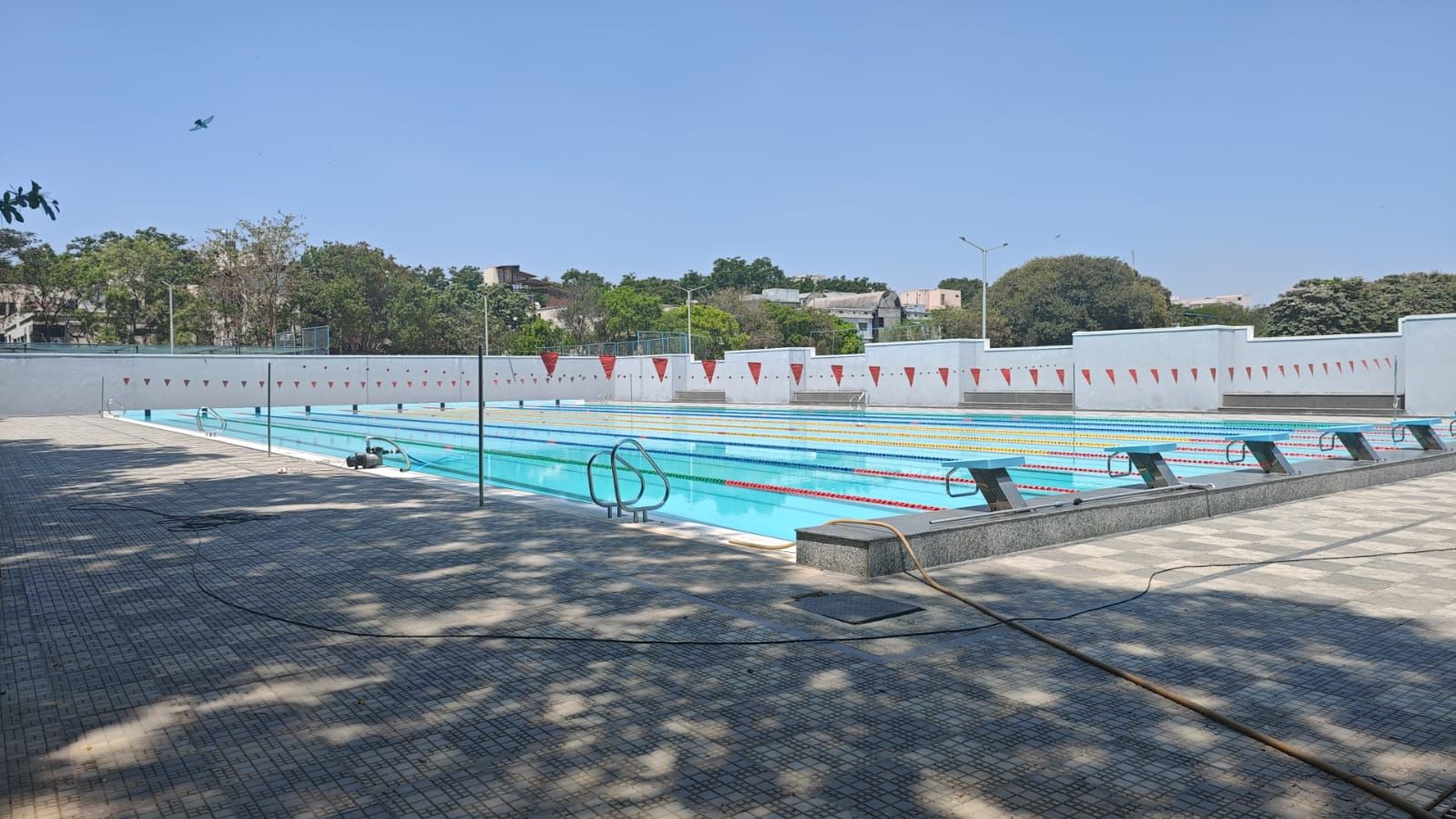 Nisha Millets Swimming Academy @ Basecamp BCU