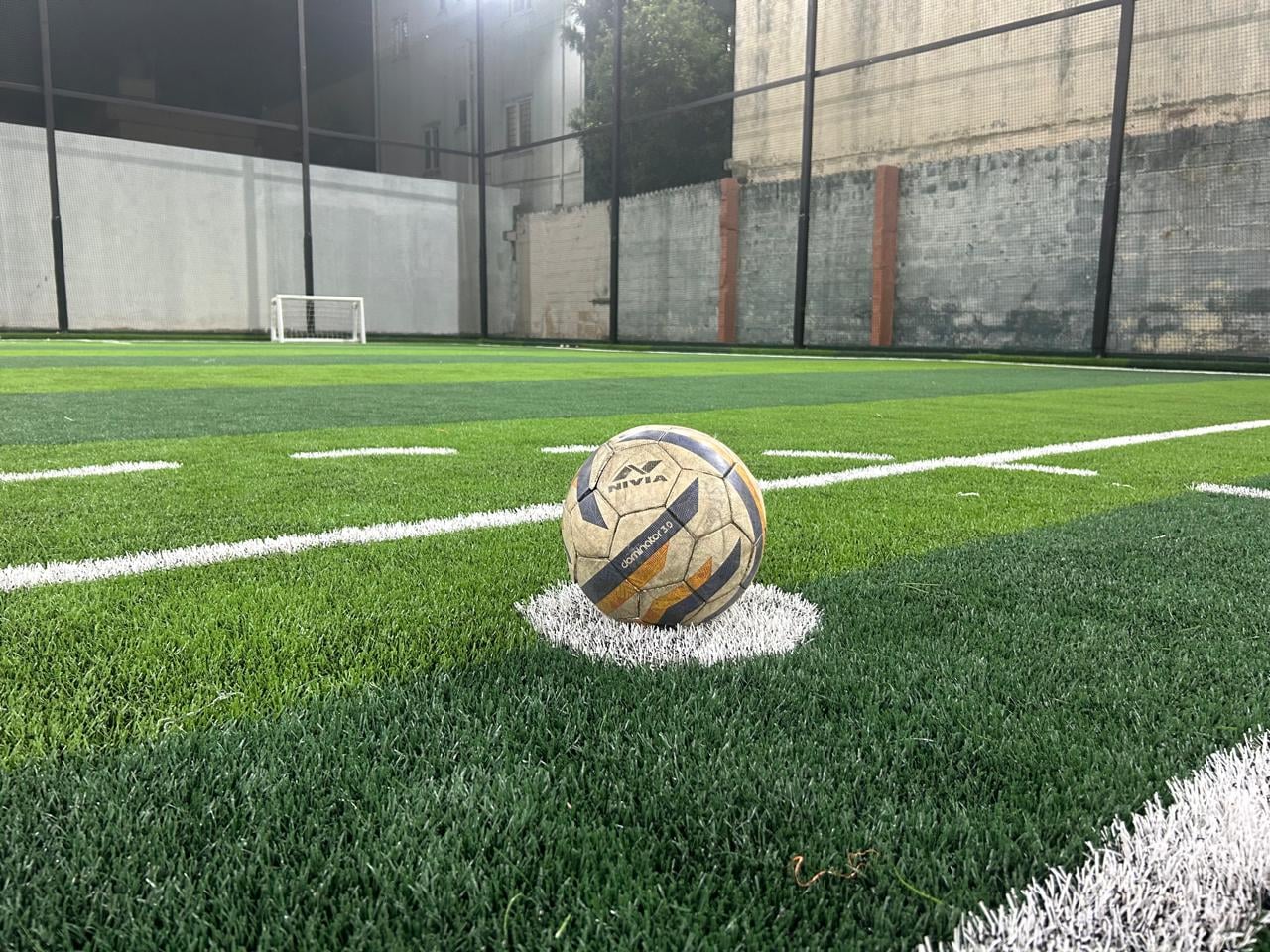 Turf photo 8