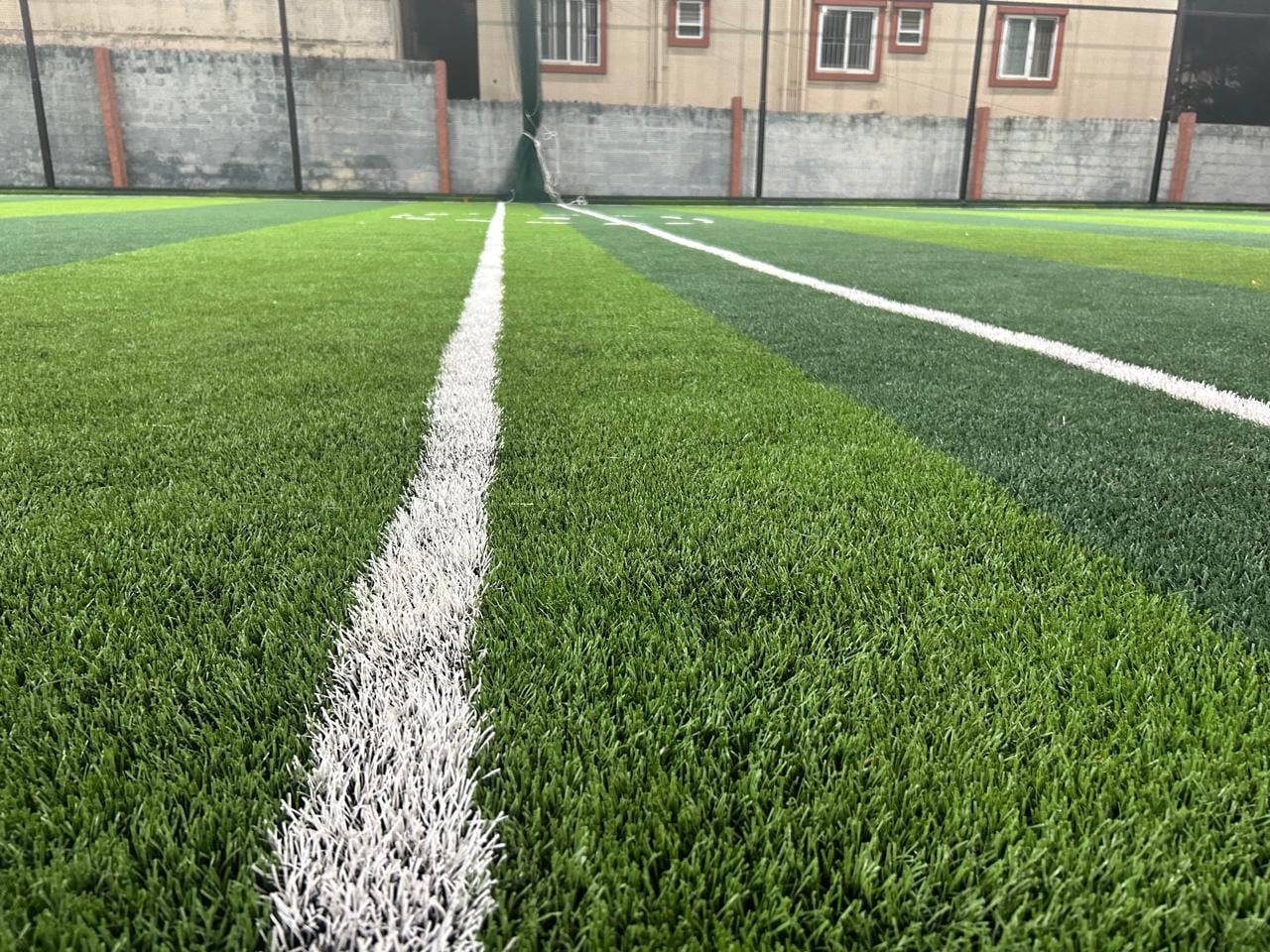 Turf photo 9
