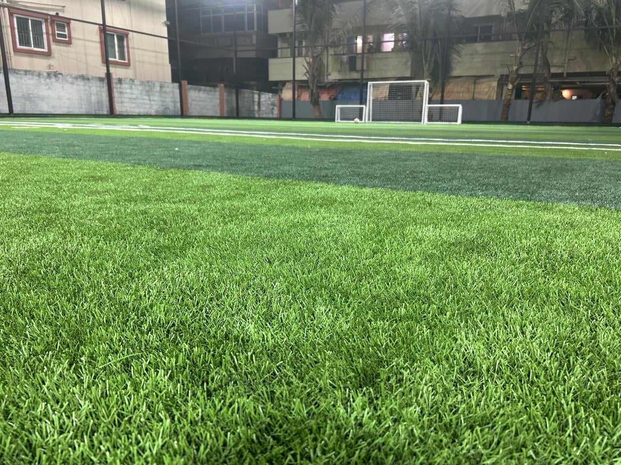 Turf photo 10