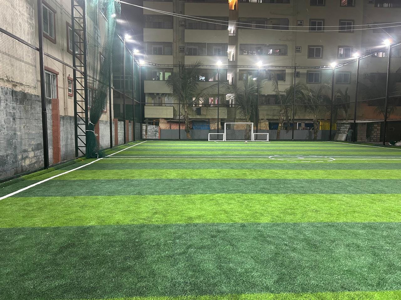Turf photo 11