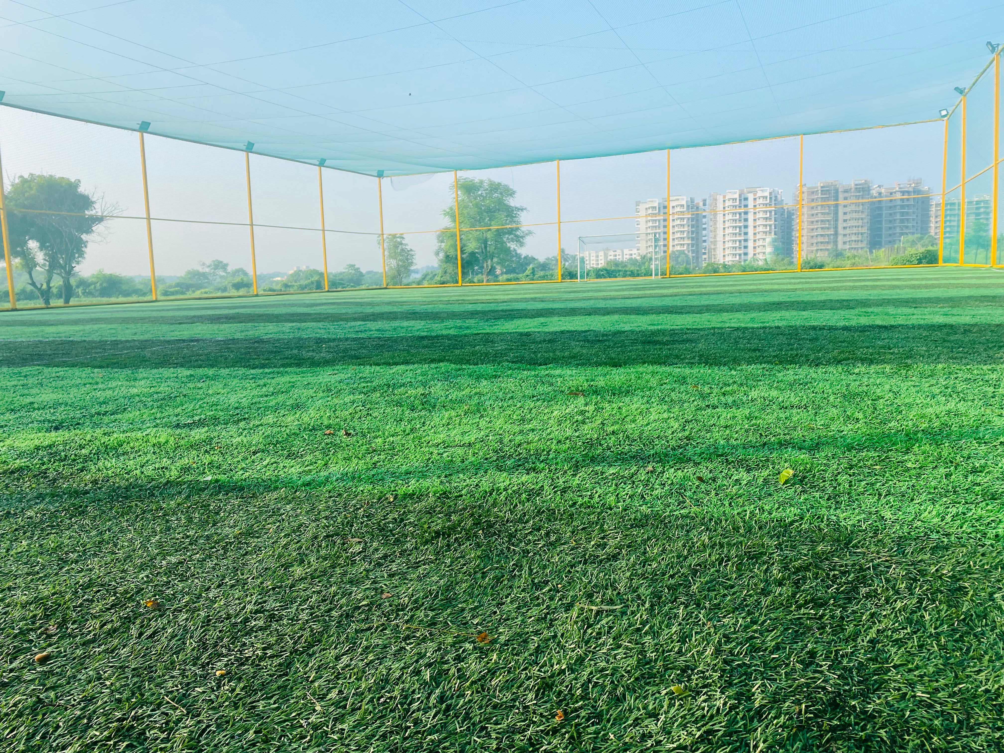 Turf photo 10