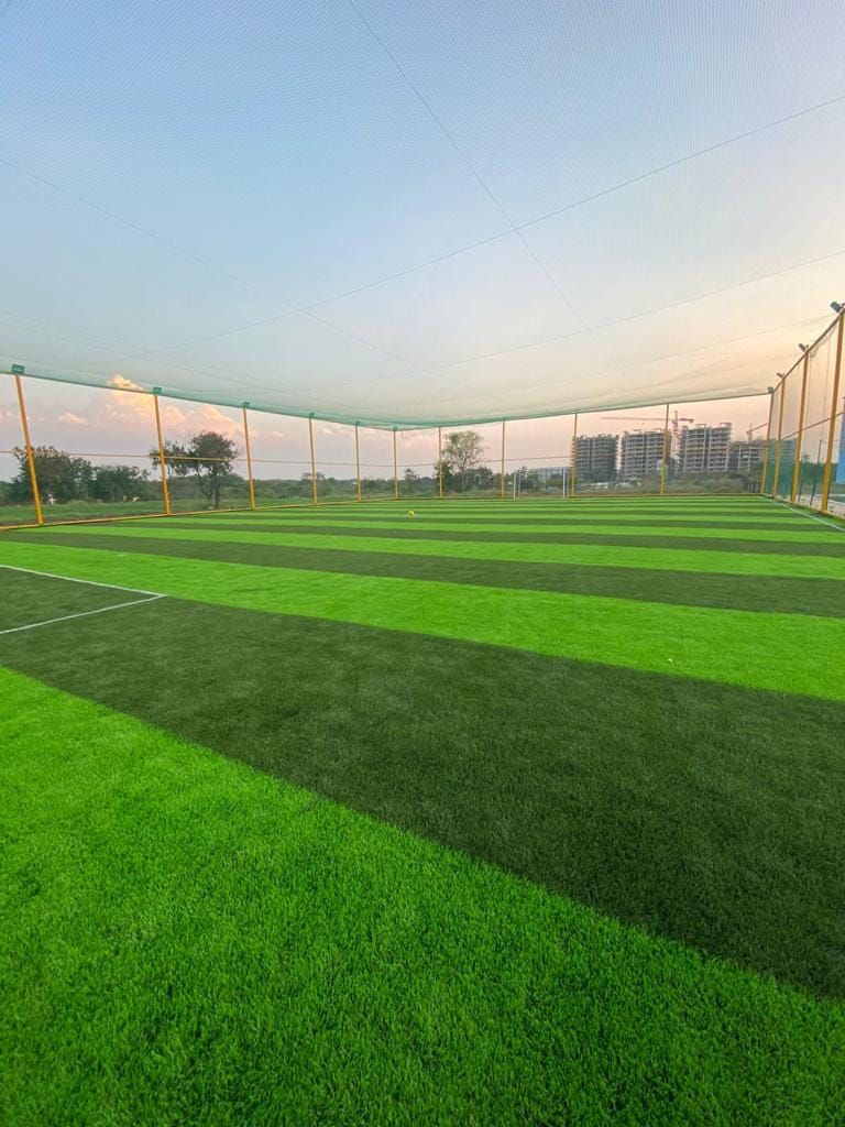 Turf photo 11
