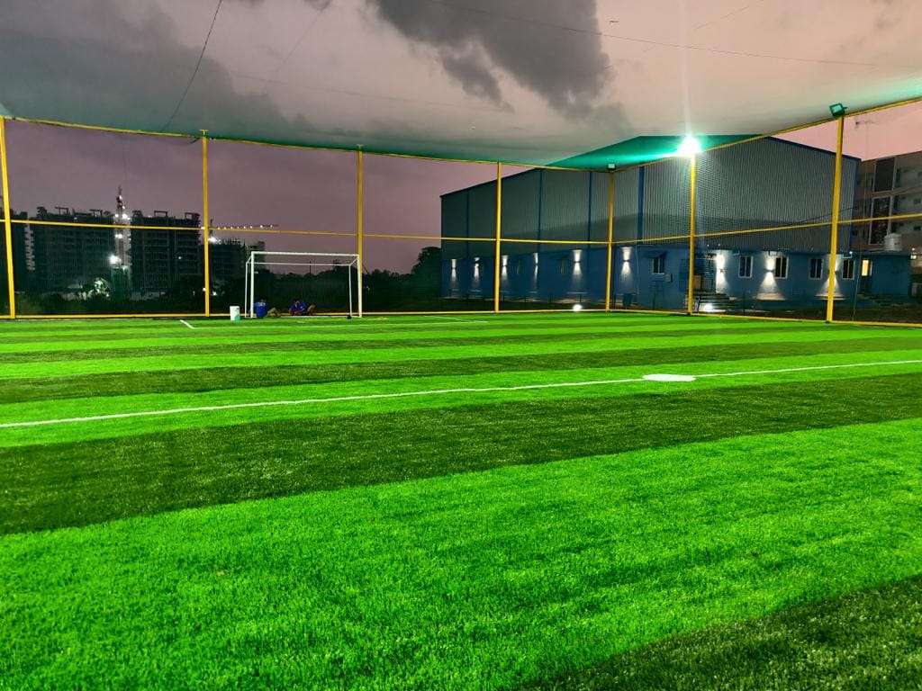 Turf photo 9