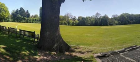 Old Finchleians Club
