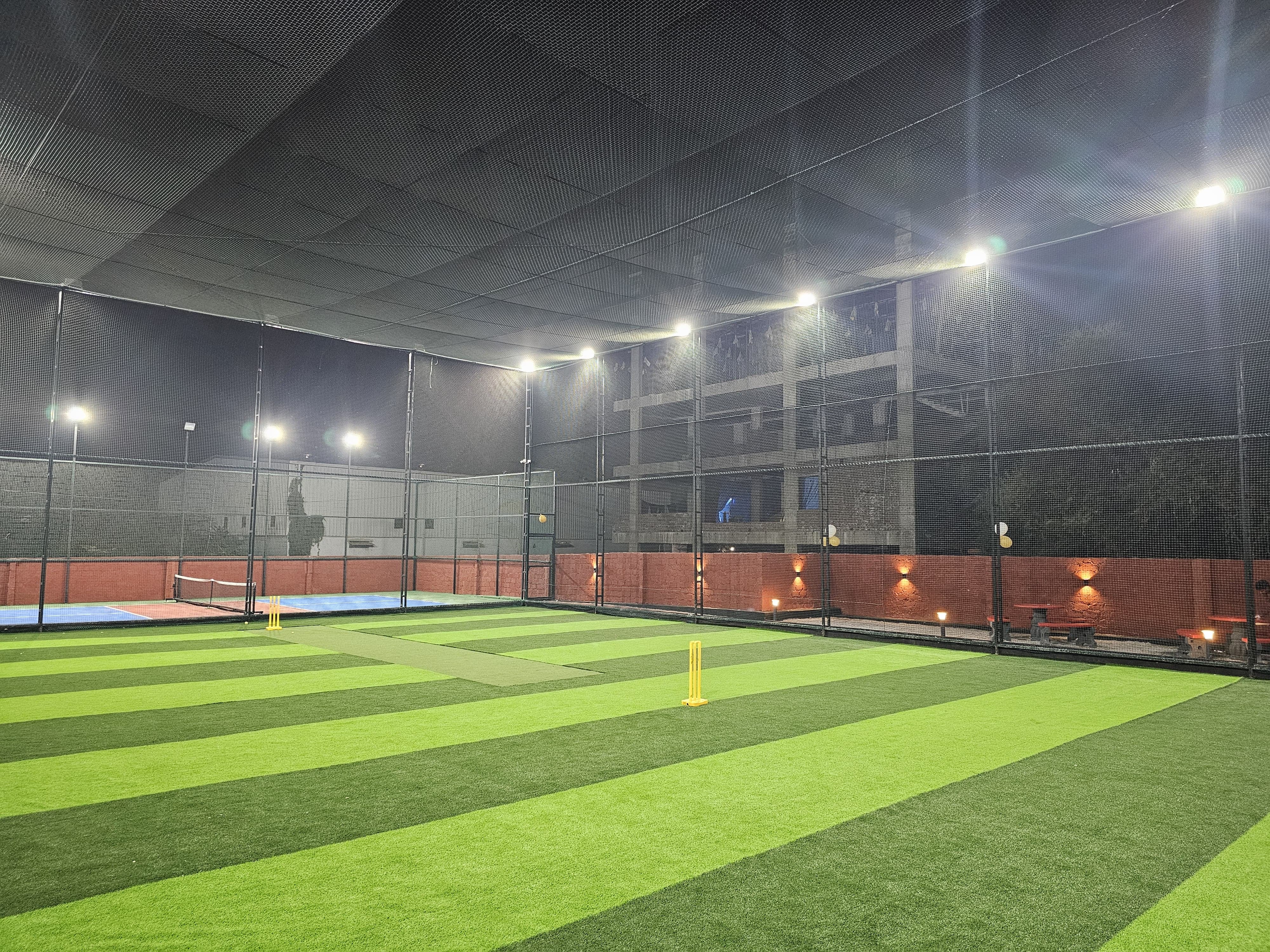 Turf photo 7