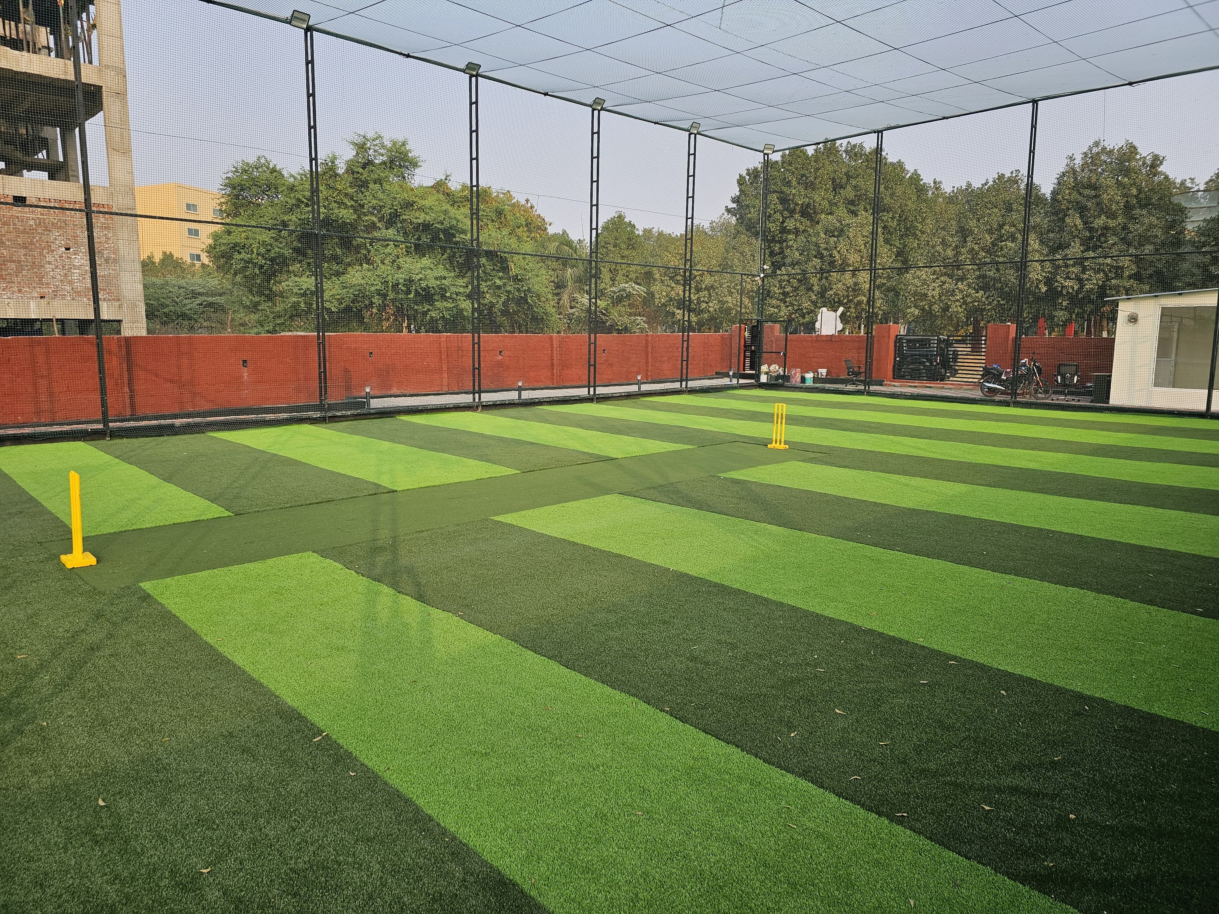 Turf photo 10