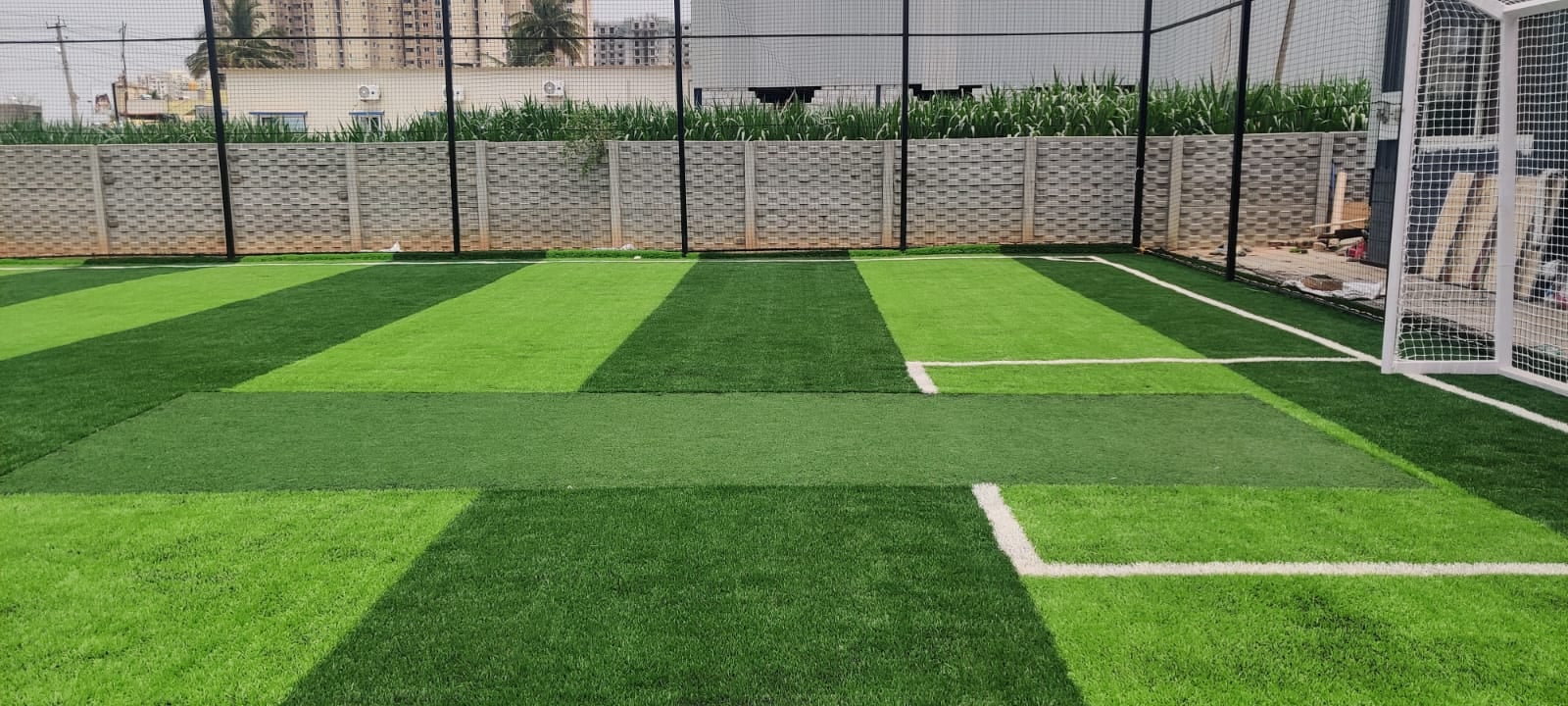 Turf photo 5