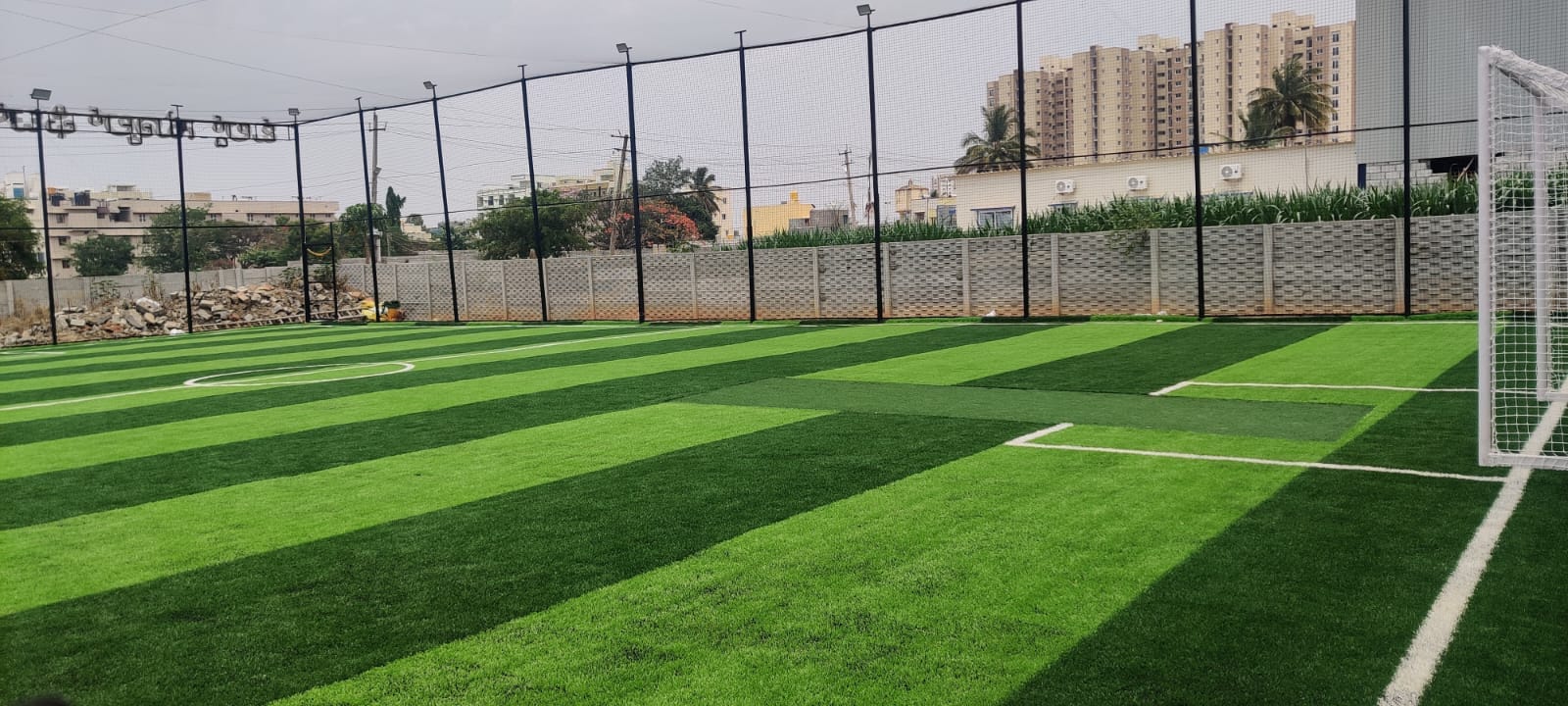 Turf photo 6