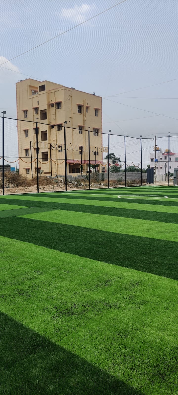 Turf photo 7