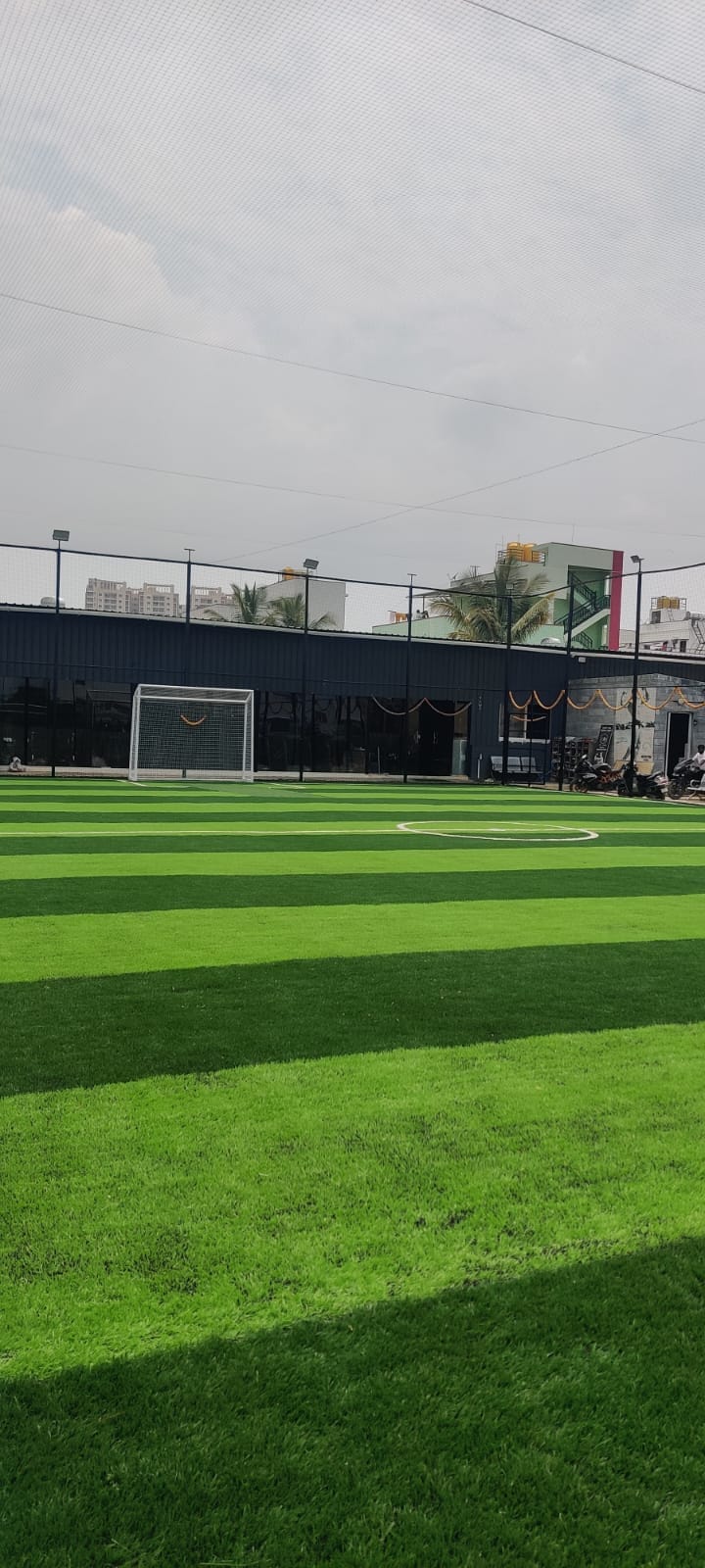 Turf photo 8