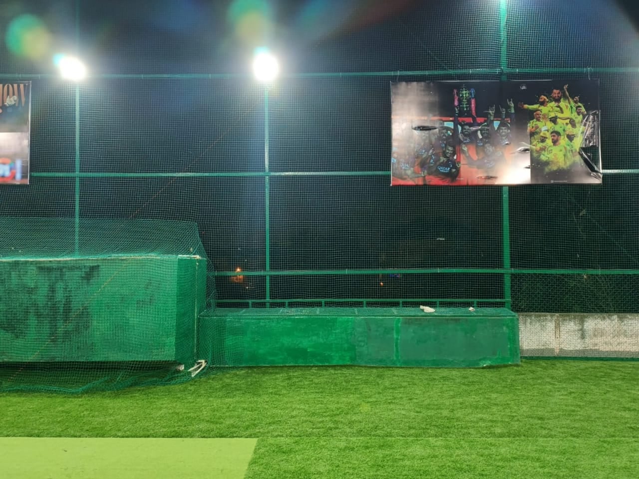 Turf photo 8