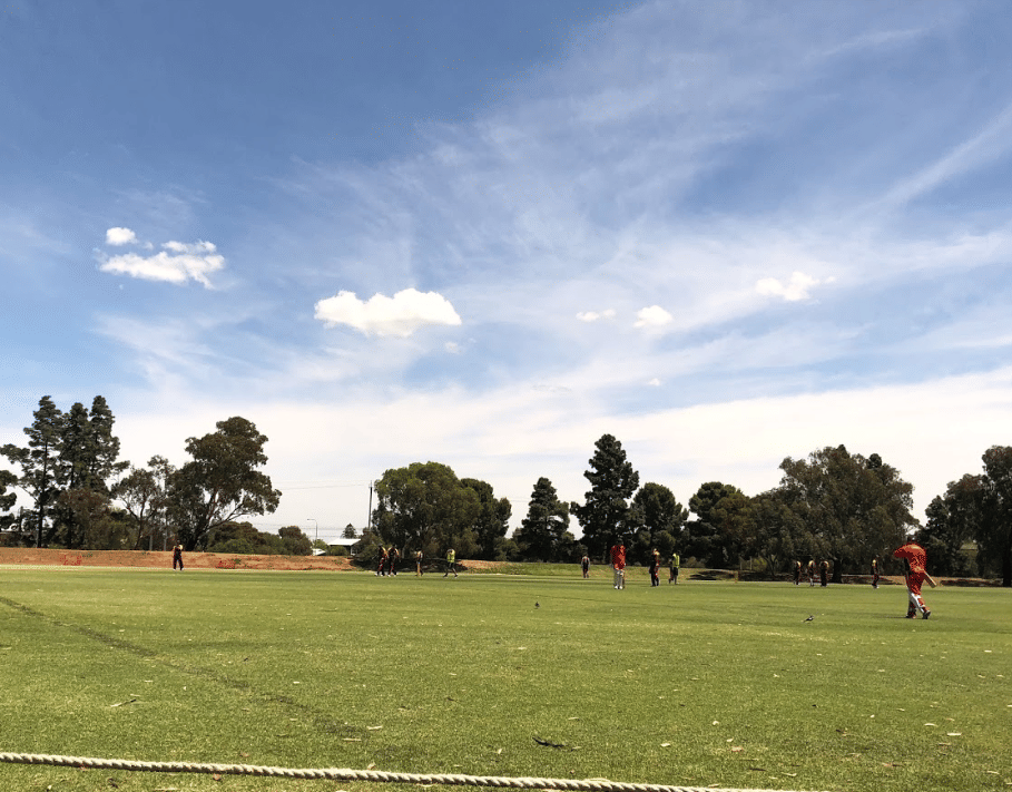 Park 25 No 1