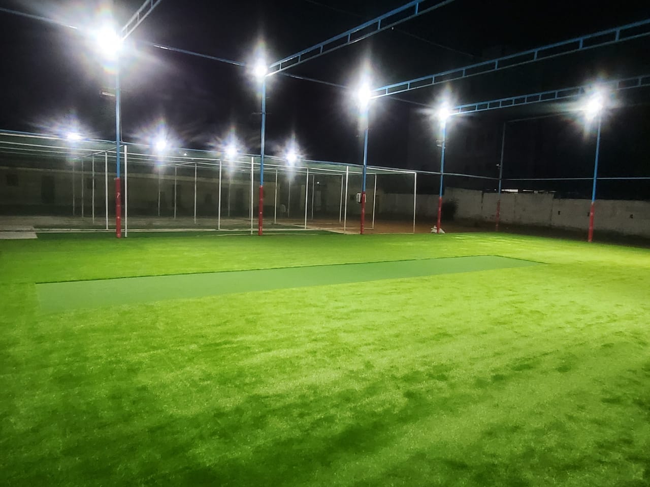 Turf photo 5