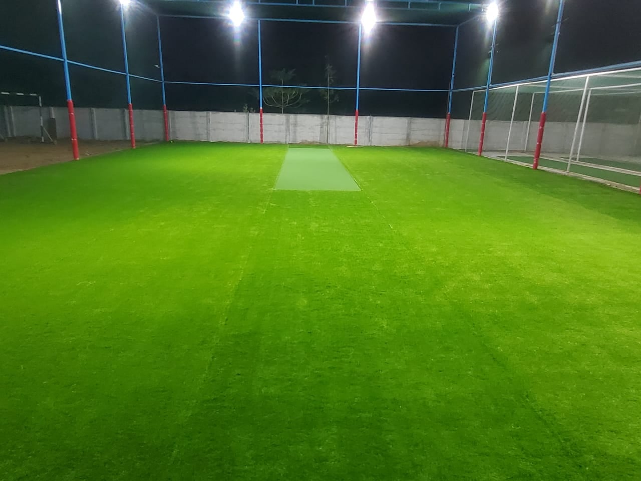 Turf photo 2