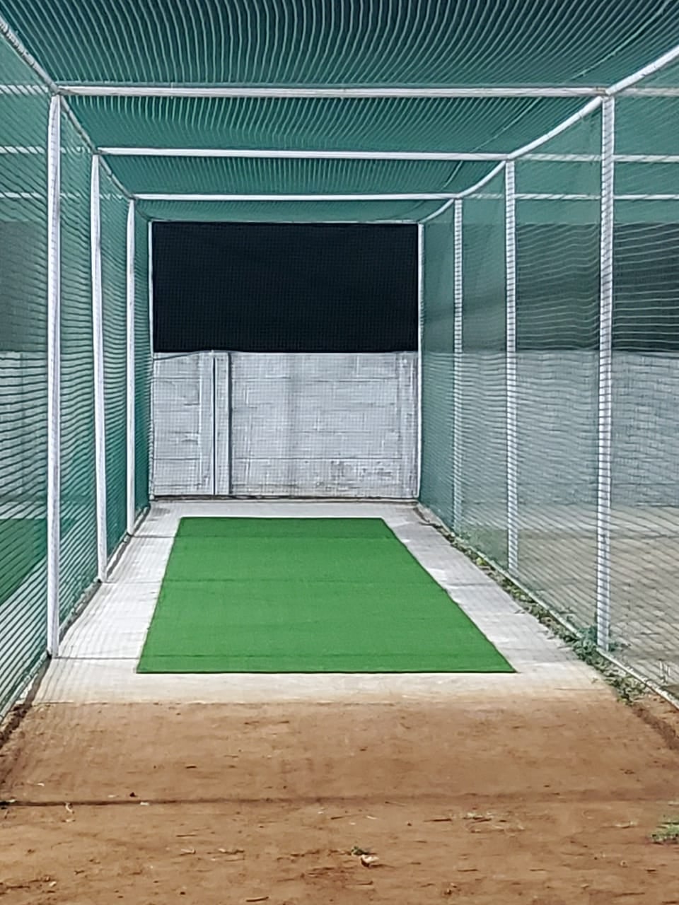Turf photo 6