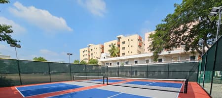 Pickleball by Forque