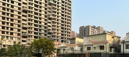 Pickleball by Trophy Fighters