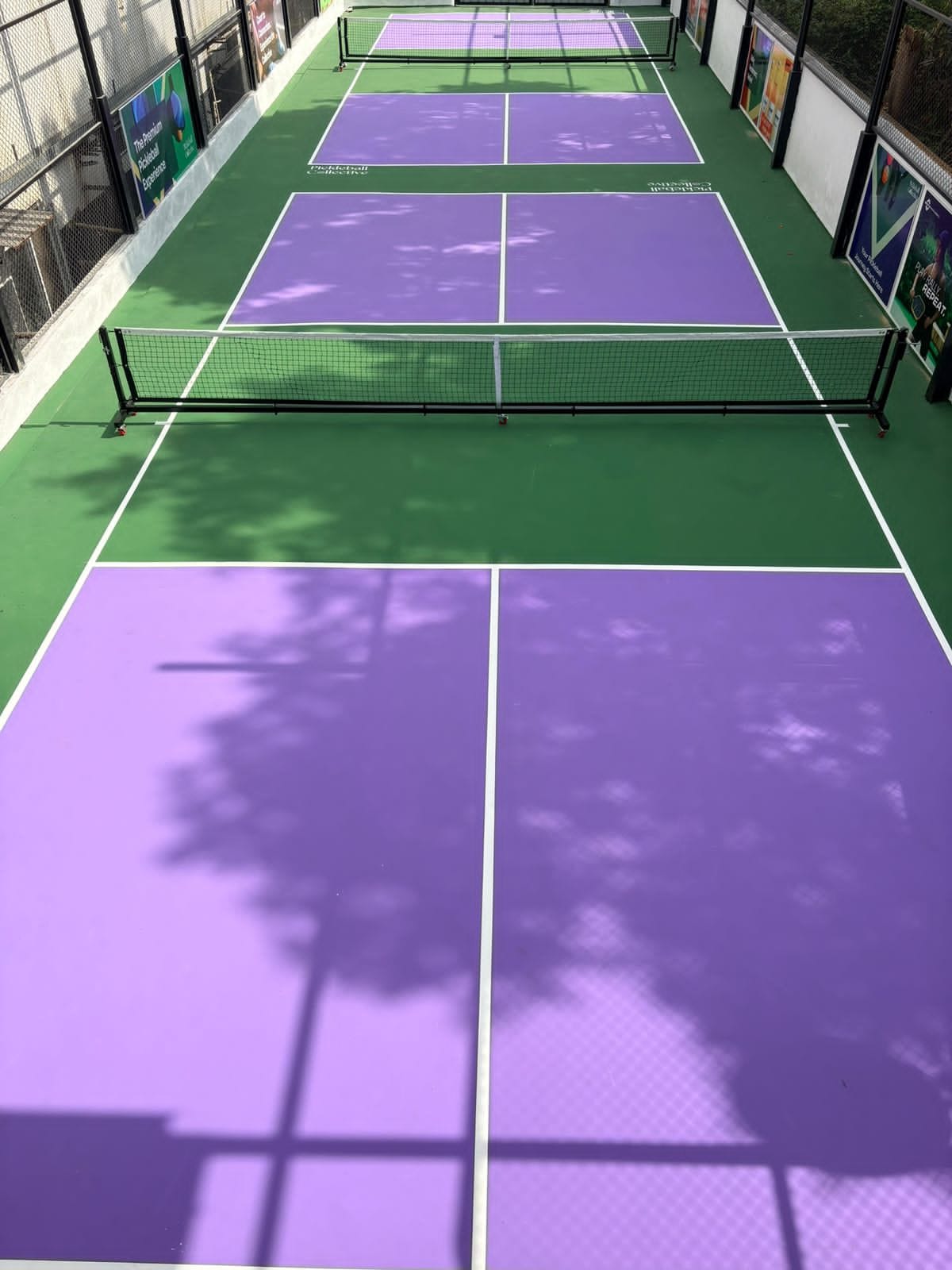 Pickleball Collective