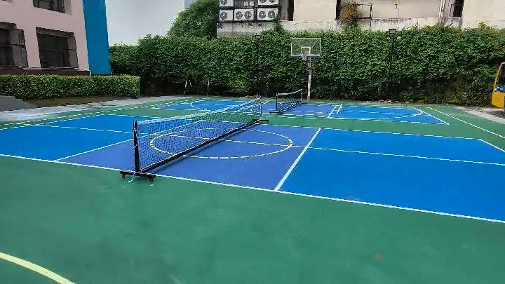 PickleSocial By Smashtress