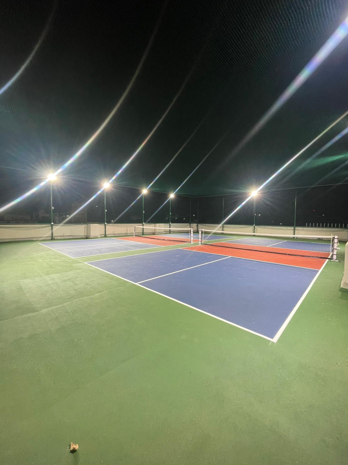 Pikkle - The Pickleball Arena