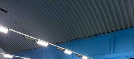 Pineapple Play at Active Arena