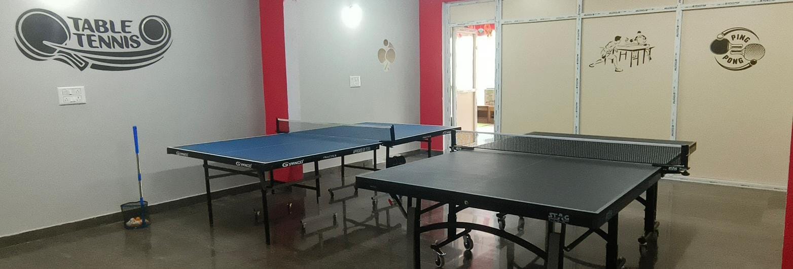 Ping N Play