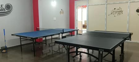 Ping N Play