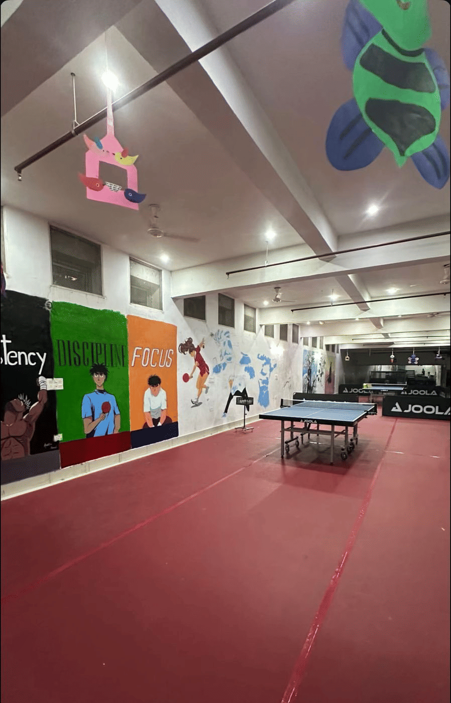 Ping Pong Pulse Table Tennis Academy