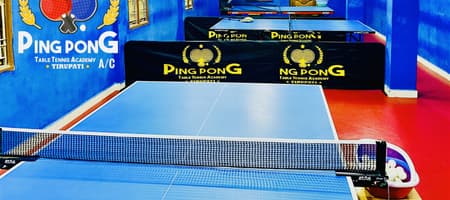 Ping Pong Table Tennis Academy