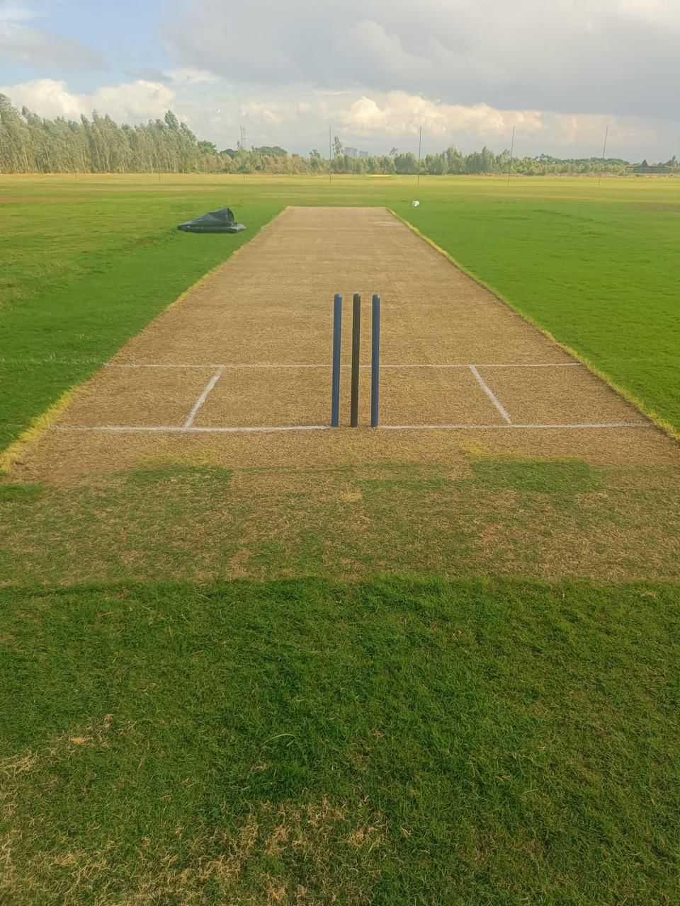 Pitch Perfect Sports Club