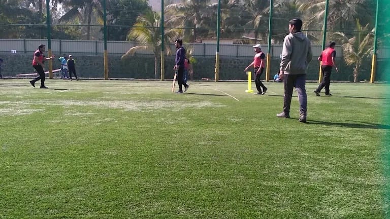 Pitch Turf