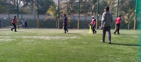 Pitch Turf