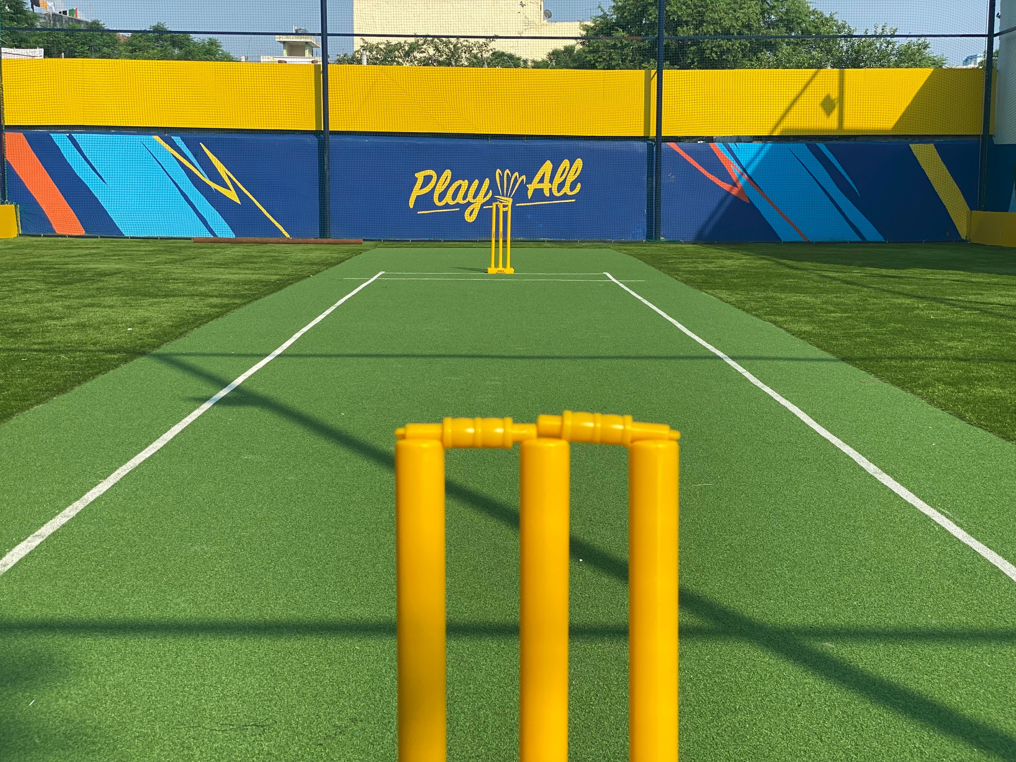 Turf photo 3