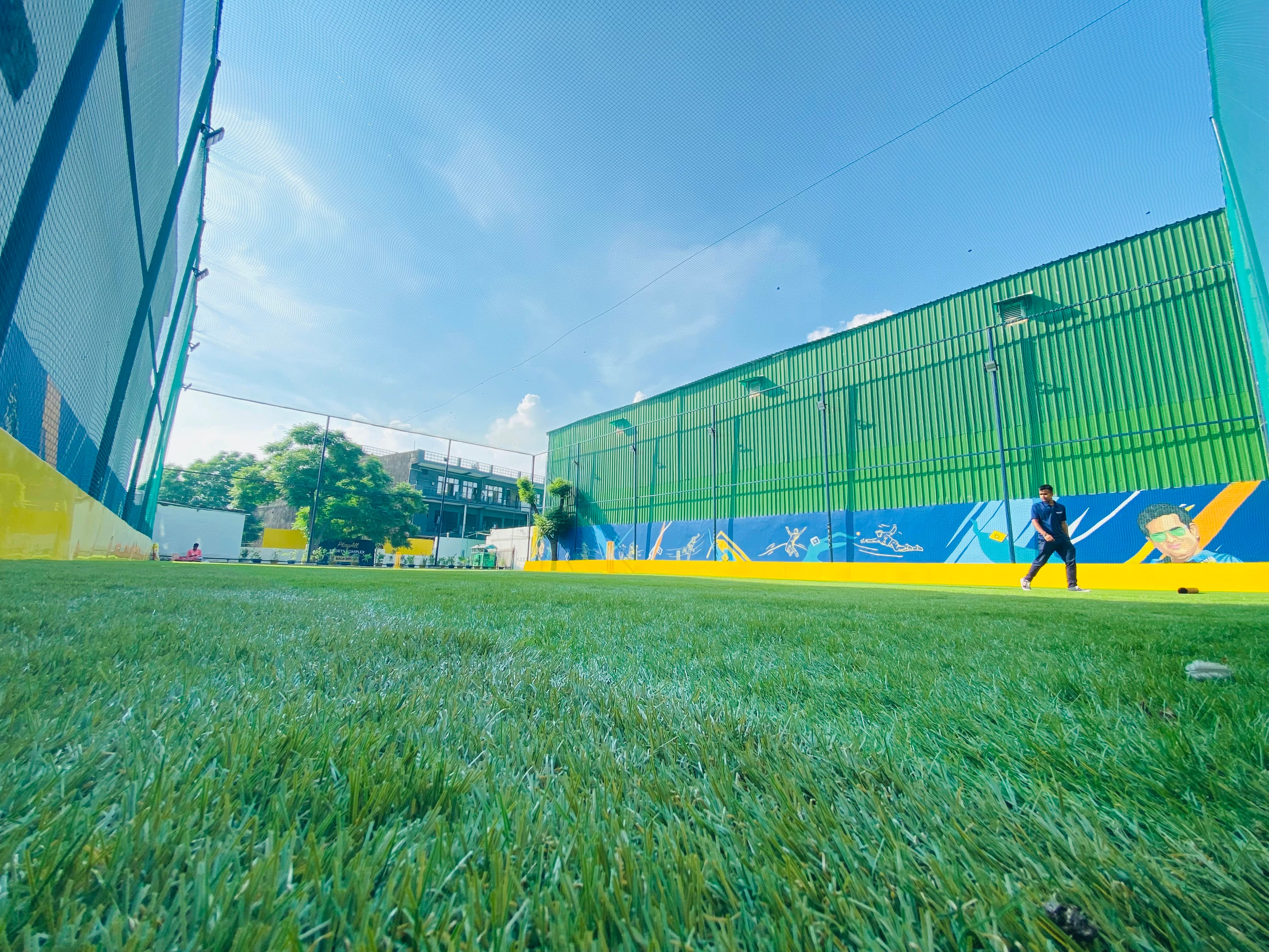 Turf photo 5