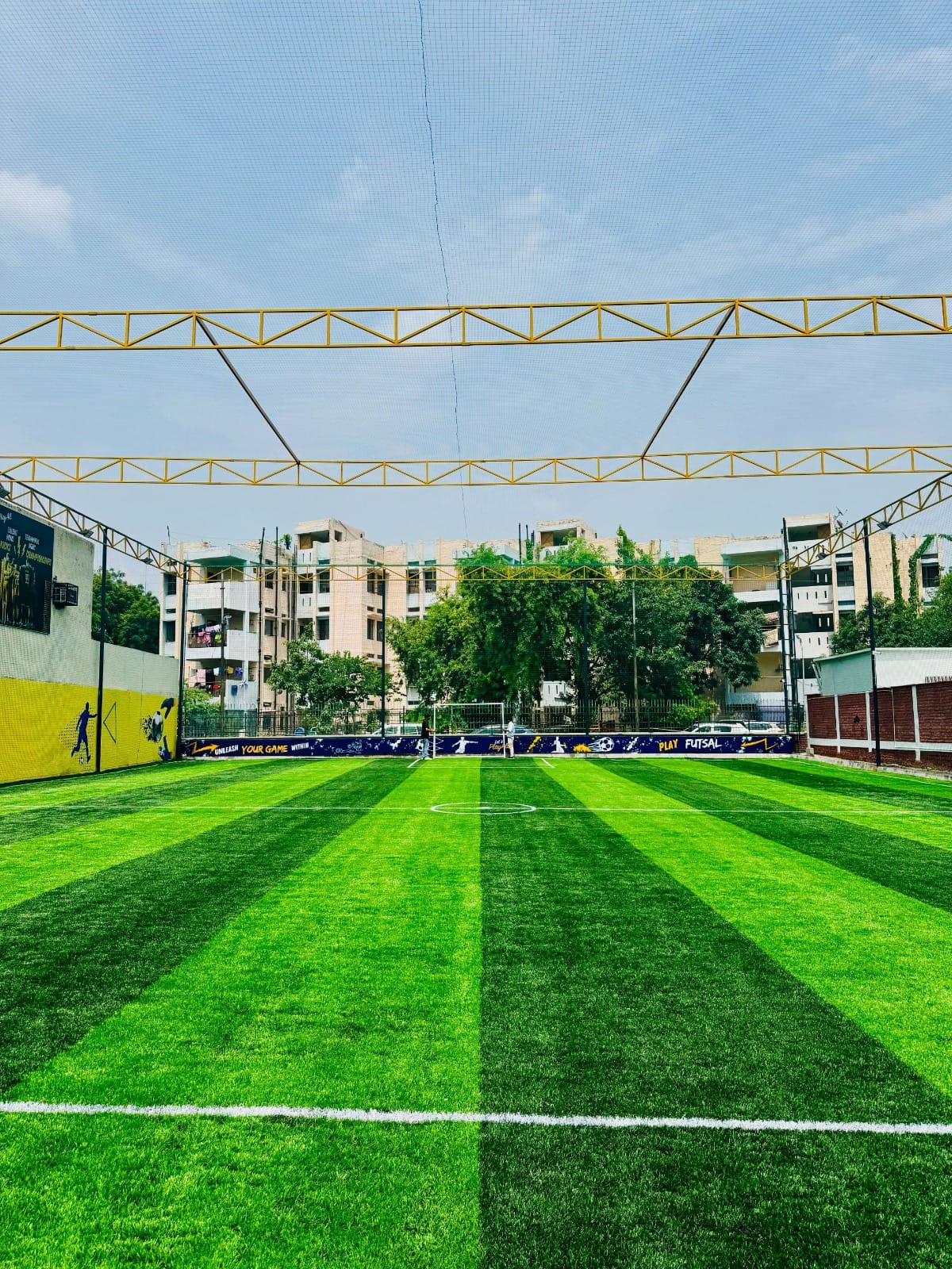 Turf photo 5