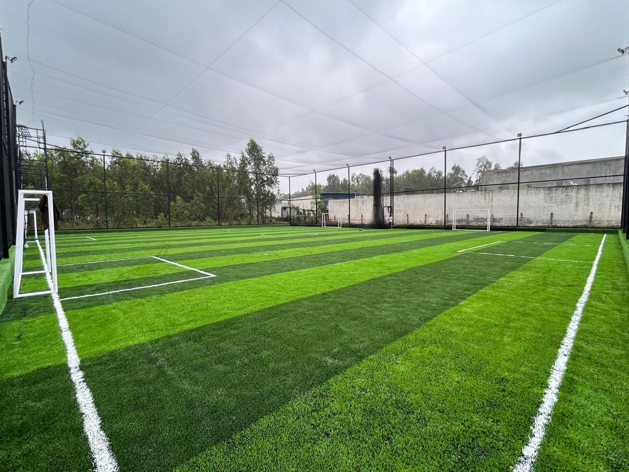 Turf photo 6