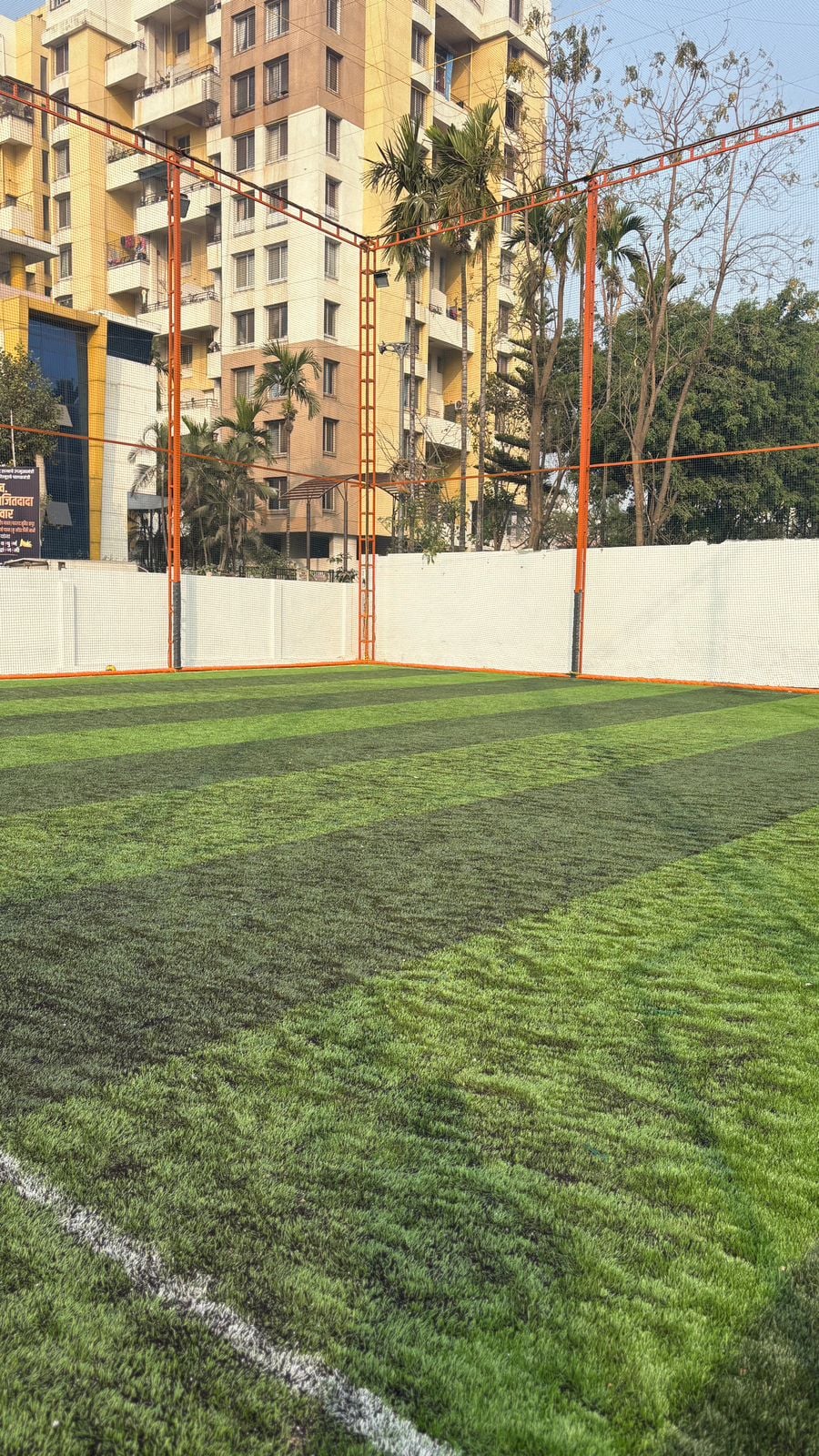 Turf photo 6