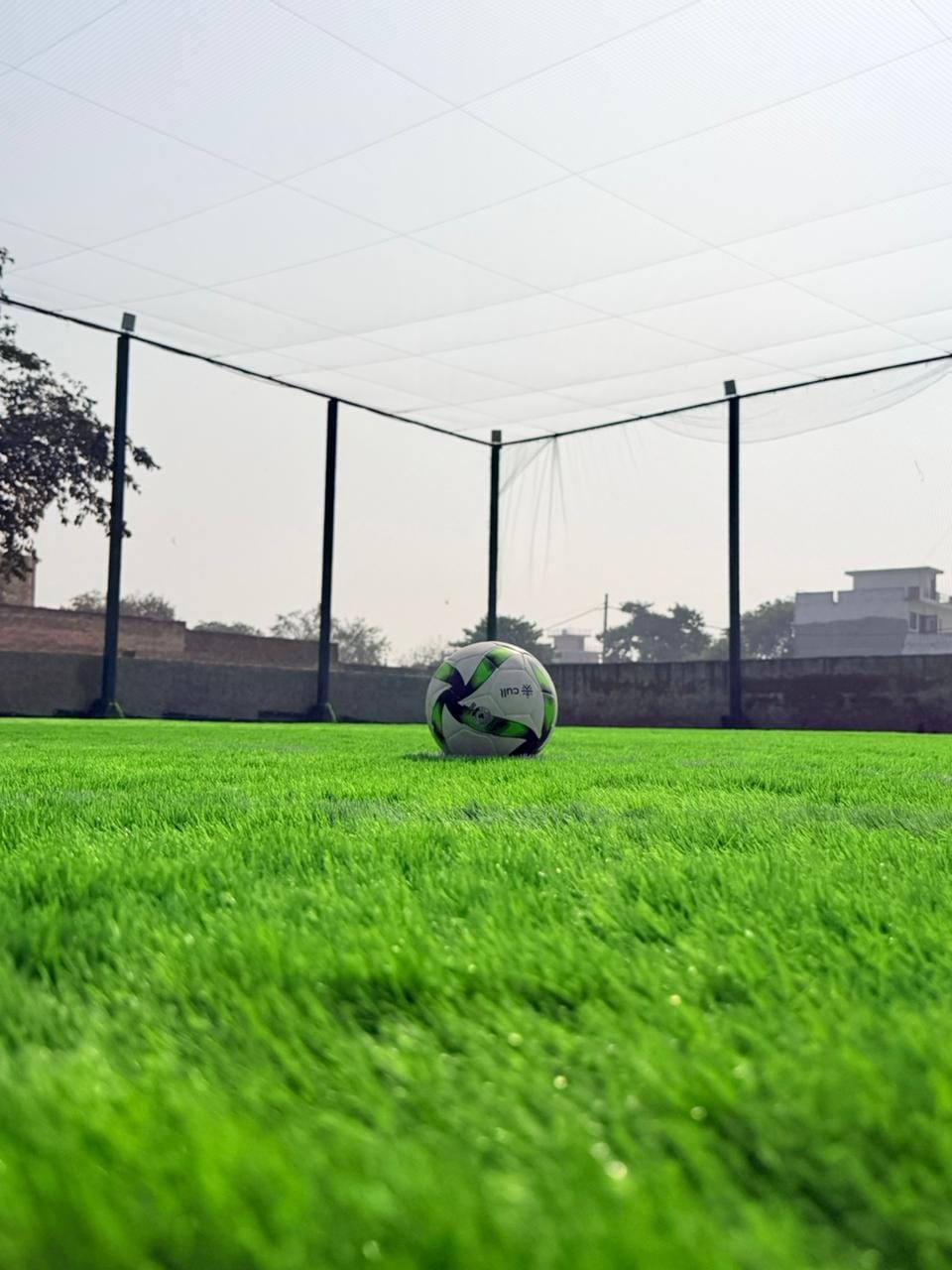 Turf photo 5