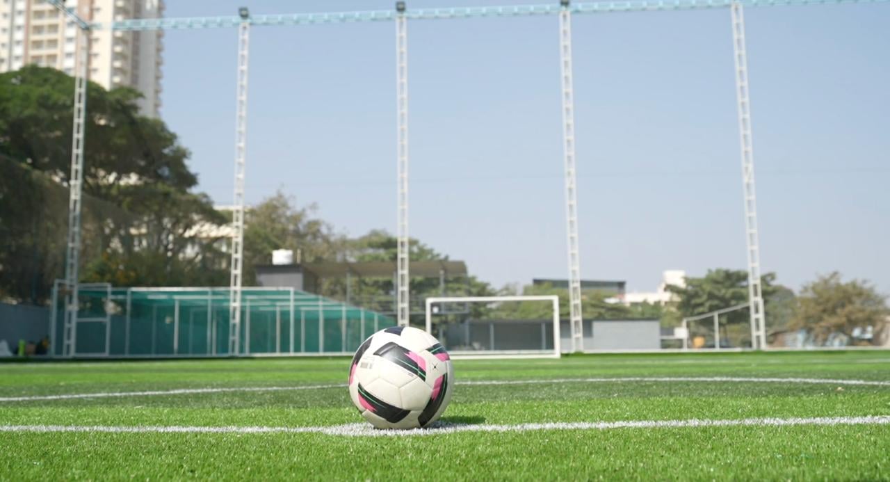 Turf photo 10