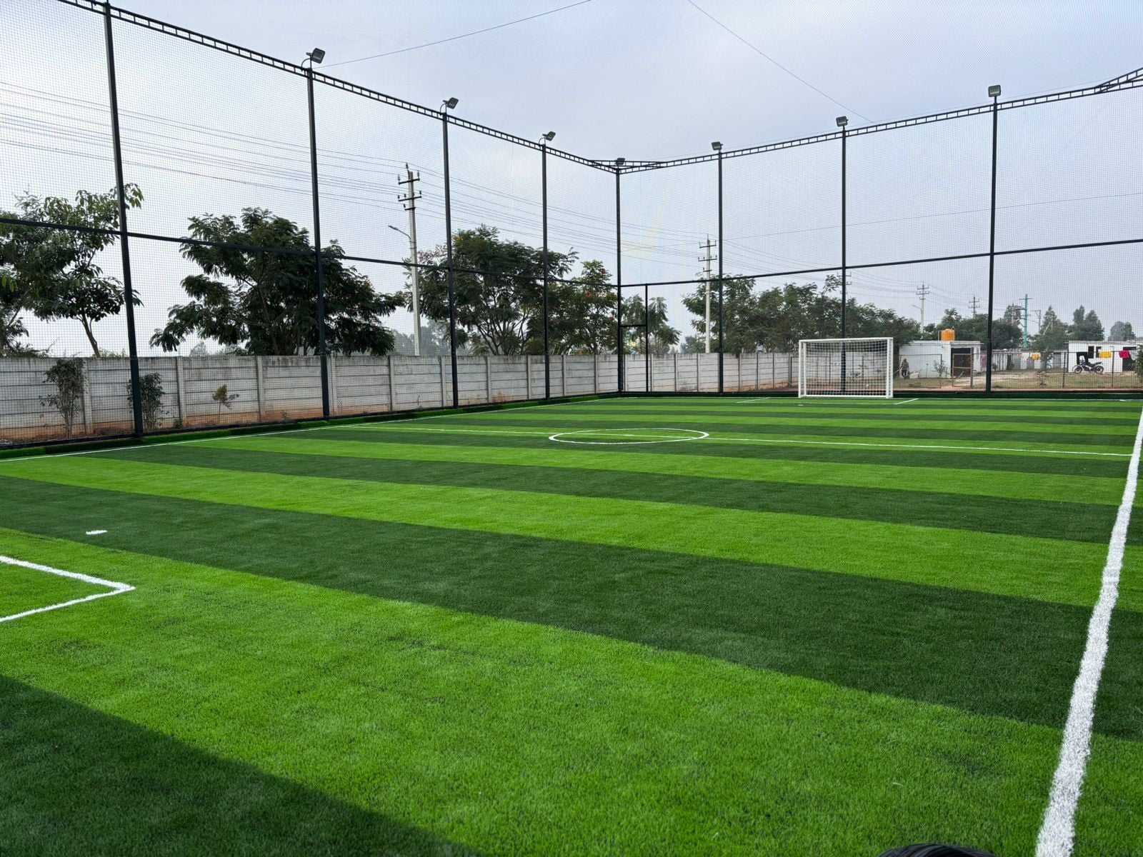Turf photo 5
