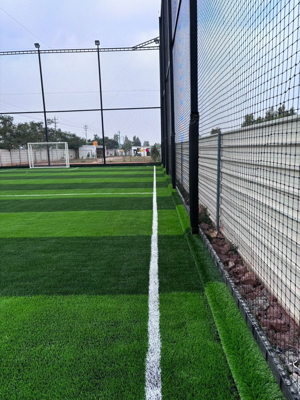 Turf photo 6
