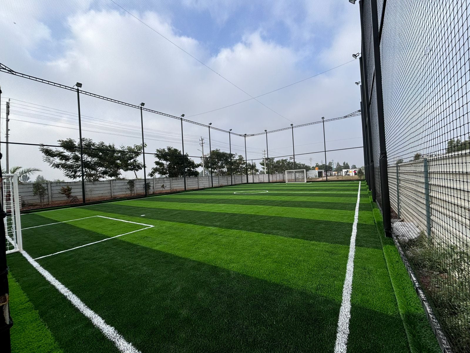 Turf photo 3